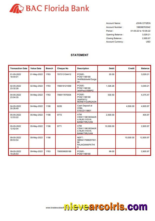 USA BAC Florida bank statement